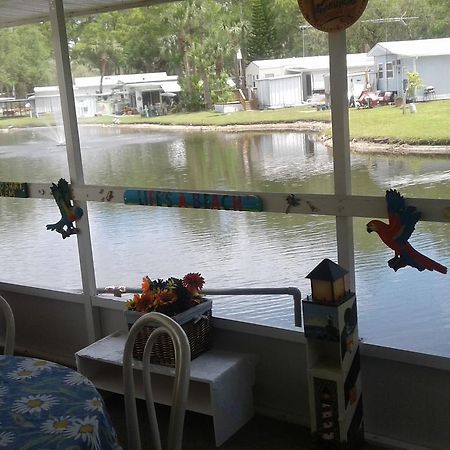 Oak Springs Rv Resort Port Richey Eksteriør bilde