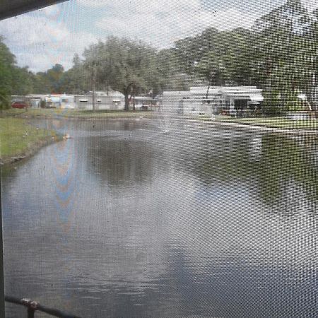 Oak Springs Rv Resort Port Richey Eksteriør bilde