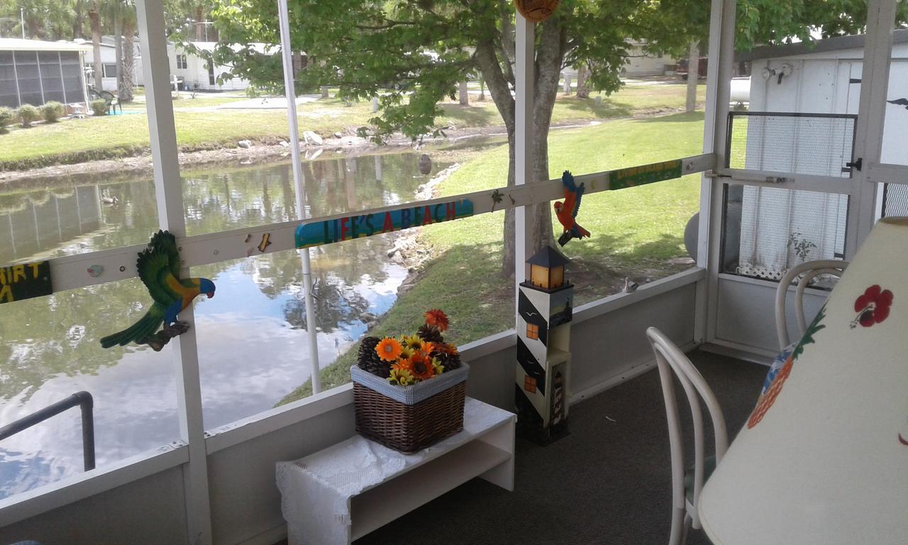 Oak Springs Rv Resort Port Richey Eksteriør bilde